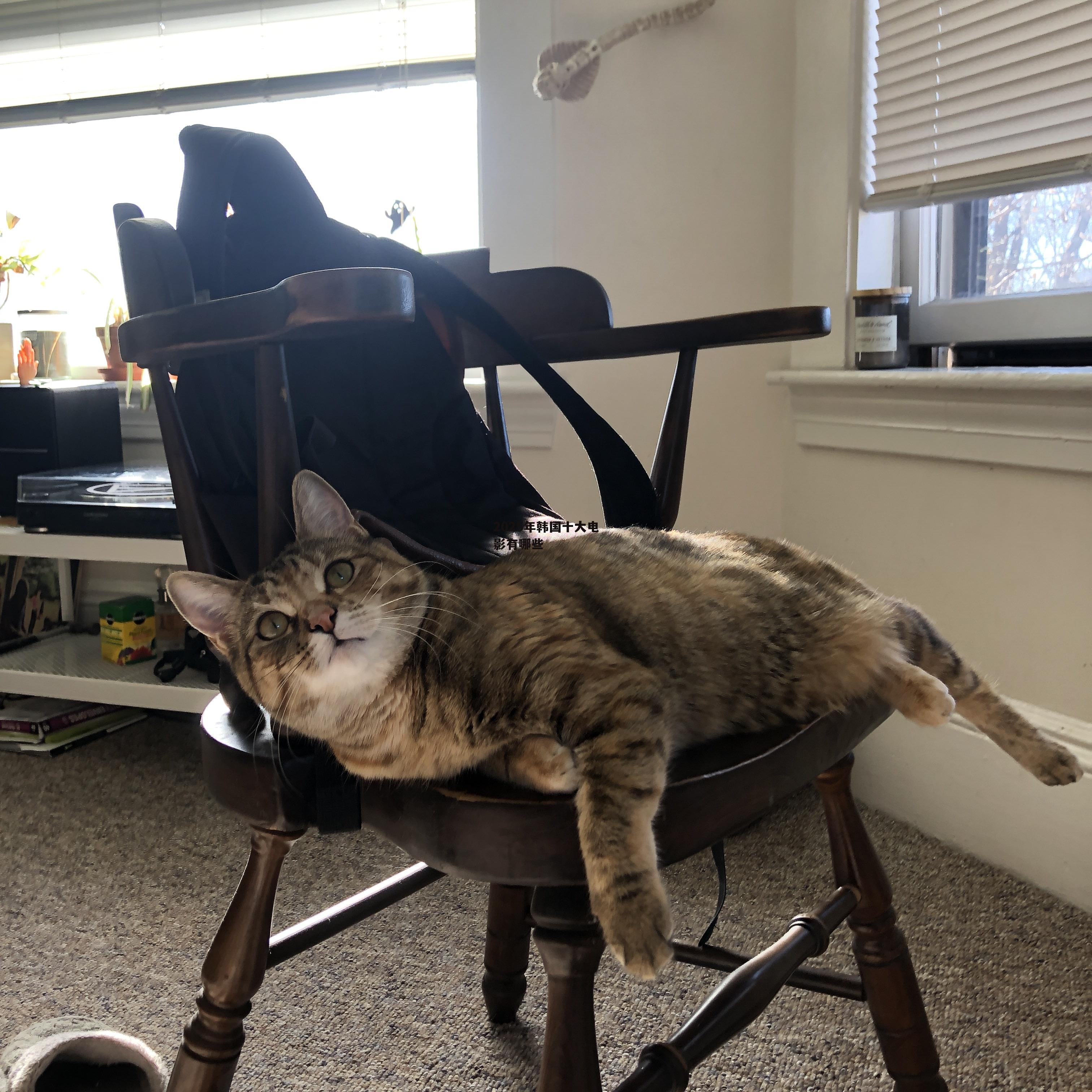 2025年韩国十大电影有哪些