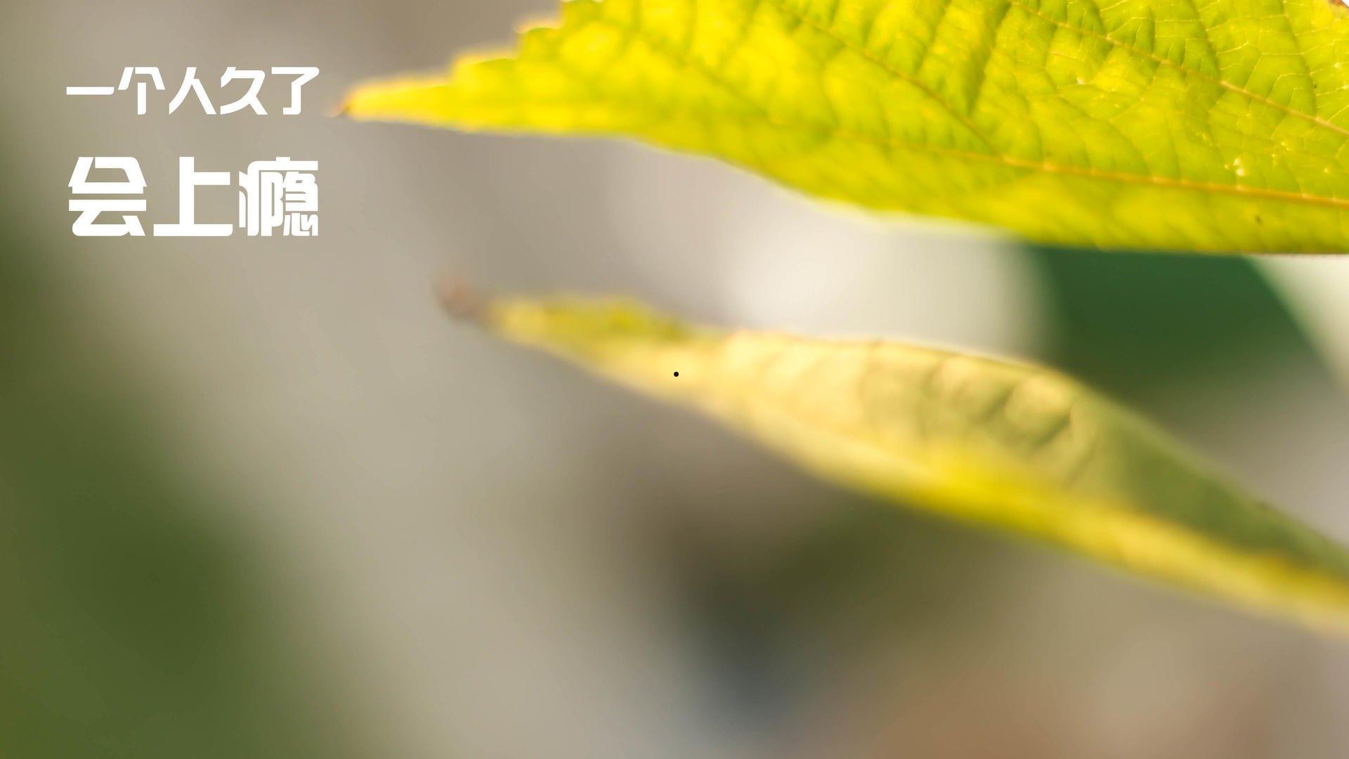 运营抖音 有哪些好的工具推荐